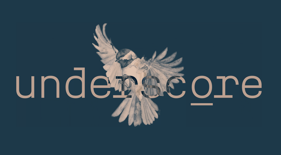 The Underscore logo: a bird spreading its wings behind the word 